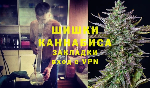 2c-b Белокуриха