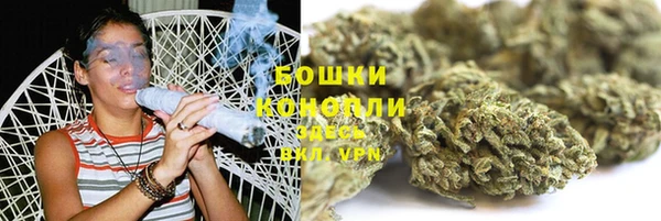 дживик Баксан