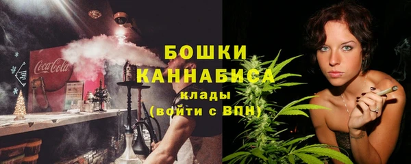 прущие грибы Балахна