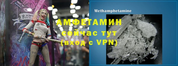 прущие грибы Балахна