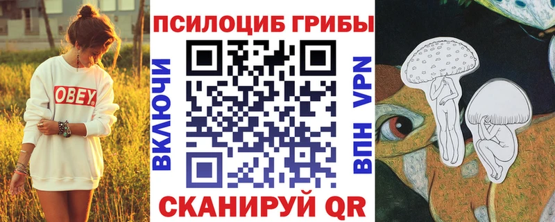 Псилоцибиновые грибы Magic Shrooms  дарк нет состав  Нефтегорск  KRAKEN ТОР 